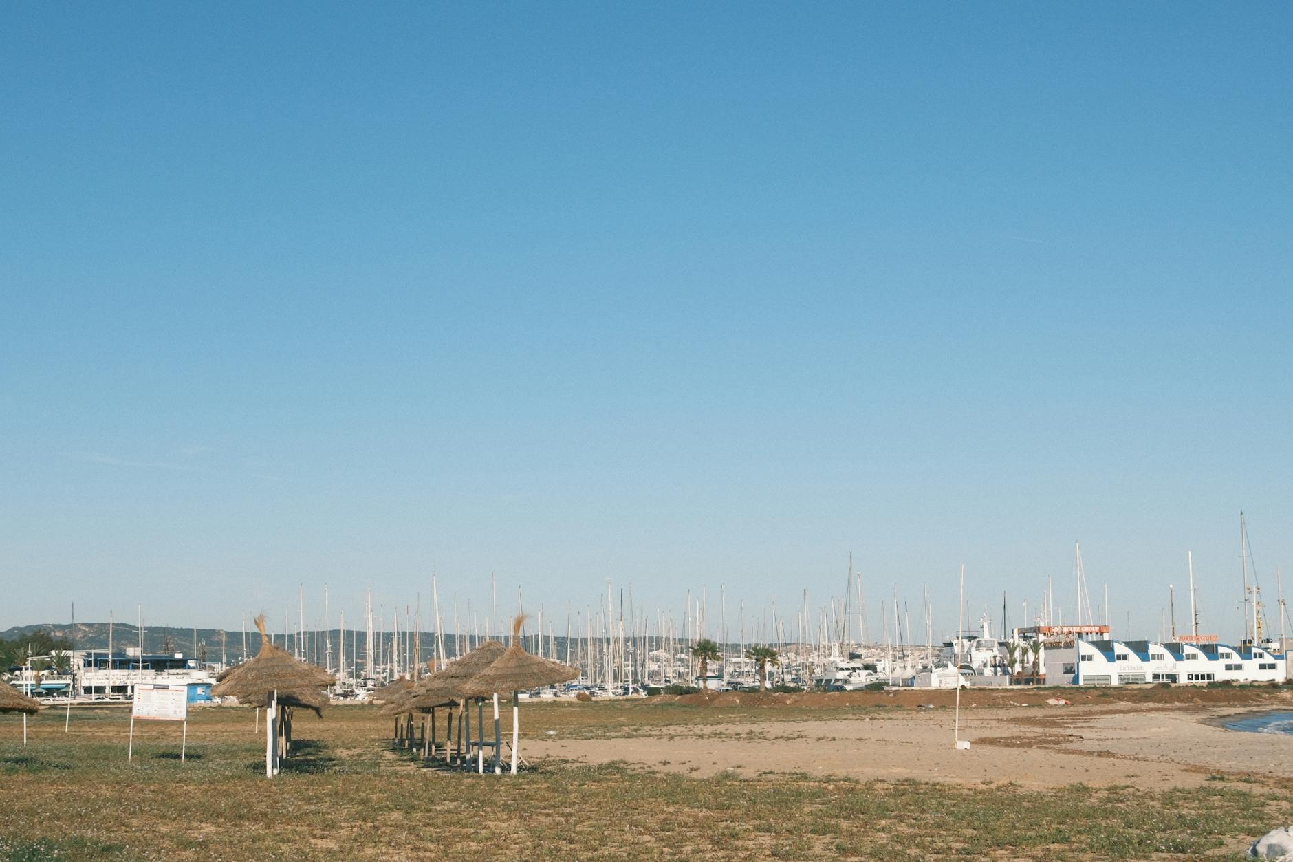 Tunezyjska plaża ze słomianymi parasolami i mariną w słoneczny dzień